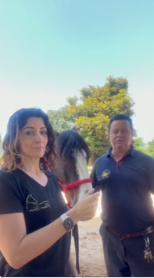 Baralho, cavalo Crioulo, com integrantes da equipe no local de atendimento